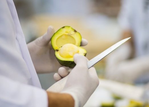 Pesquisa da Fatec Cariri sobre biscoito de pequi é publicada em revista acadêmica