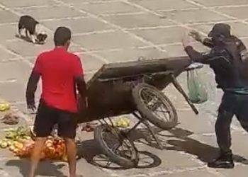 O caso ocorreu em um praça nas proximidades da Lagoa do Urubu, no bairro Floresta, no dia 27 de agosto deste ano (Foto: Reprodução)