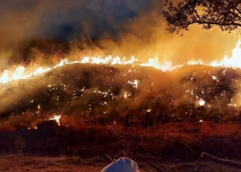 Queimadas no Ceará crescem 80% em setembro, aponta levantamento