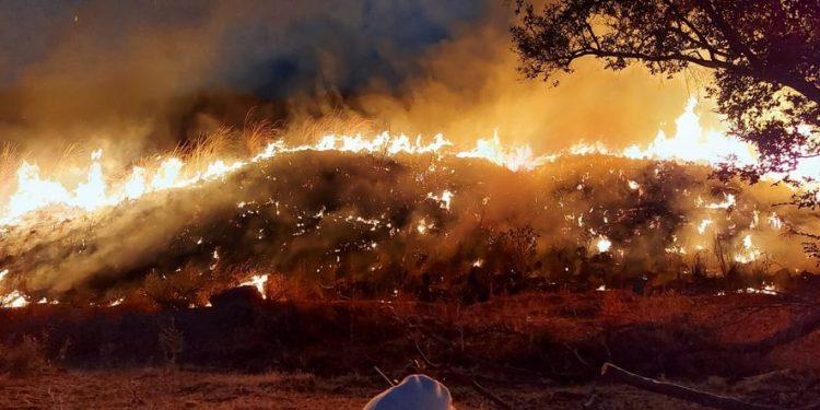 Queimadas no Ceará crescem 80% em setembro, aponta levantamento