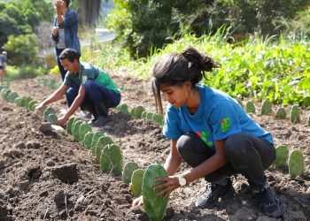 (Foto: Divulgação/IFCE)