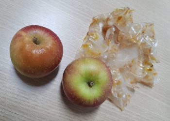 Projeto de pesquisa da UFCA desenvolve embalagens ecológicas a partir de resíduos de cascas de cebola