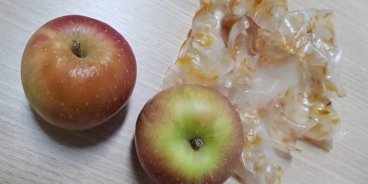 Projeto de pesquisa da UFCA desenvolve embalagens ecológicas a partir de resíduos de cascas de cebola