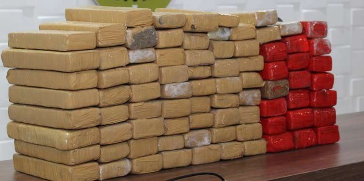 Apreensão de drogas no Ceará em setembro deste ano é superior a todo o ano de 2019