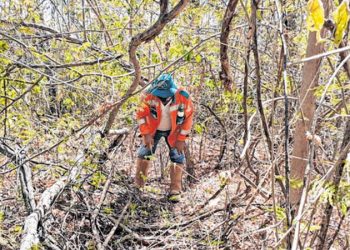 A Unidade de Conservação (UC) foi criada em 2008 e possui uma área com representativa dos biomas Caatinga e Cerrado (Foto: Antonio Rodrigues)