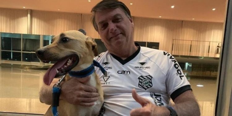 Bolsonaro posta foto ao lado de cão e diz: ‘Vacina obrigatória só no Faísca’