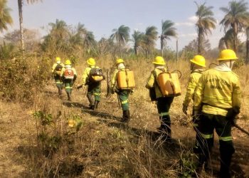 Brigadistas do Ceará no Pantanal aguardam dinheiro de combustível para retornar ao Estado