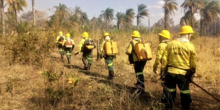 Brigadistas do Ceará no Pantanal aguardam dinheiro de combustível para retornar ao Estado