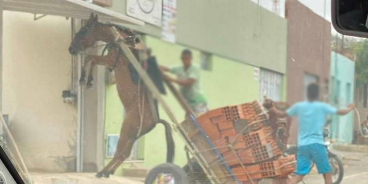 Burro fica suspenso em carroça com excesso de peso em Juazeiro do Norte
