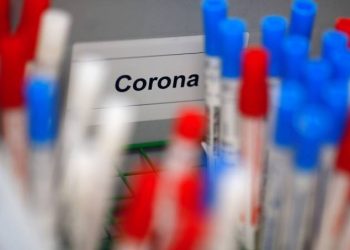 Brasil ultrapassa marca de 155 mil mortes causadas pela pandemia de Covid-19