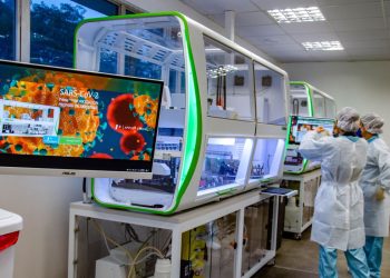 Brasil acumula 5,3 milhões de casos e 157 mil mortes por Covid-19