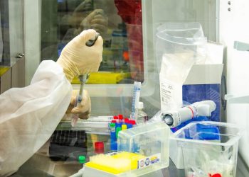 Ceará passa dos 256 mil casos de Covid-19; mais de 220 pessoas estão recuperadas