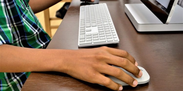 Centec oferece 320 vagas em três cursos remotos gratuitos