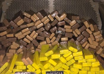 (Foto: Divulgação/PCCE)