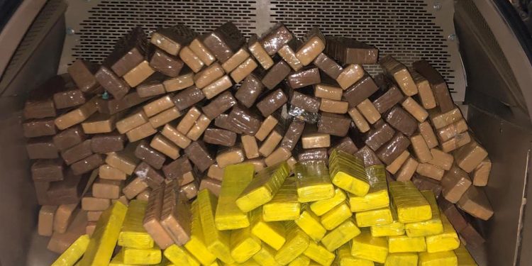 Polícia Civil de Juazeiro do Norte apreende a maior quantidade de drogas de 2020 no Cariri