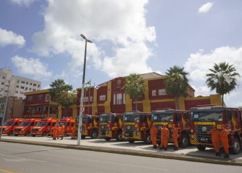 (Foto: Carlos Gibaja/Governo do Ceará)