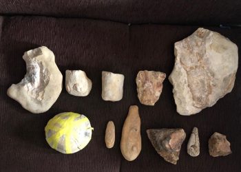 Departamento de Geologia da UFRJ nega irregularidades na coleta, transporte e tombamento de fósseis da Chapada do Araripe