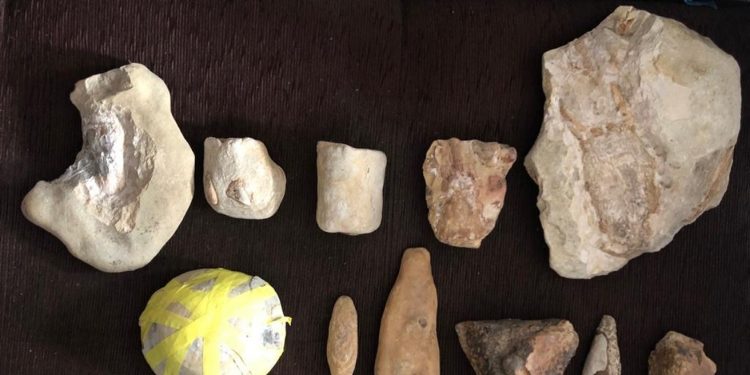 Departamento de Geologia da UFRJ nega irregularidades na coleta, transporte e tombamento de fósseis da Chapada do Araripe