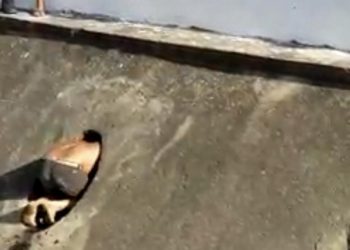 Homem rouba celular e tenta fugir por um canal no Crato (Foto: Reprodução)