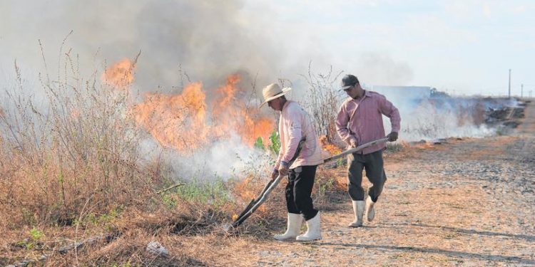 Dinheiro é liberado, e Ibama ordena volta das brigadas de incêndio