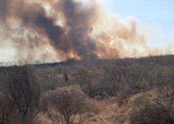 (Foto: Wandemberg Belém)