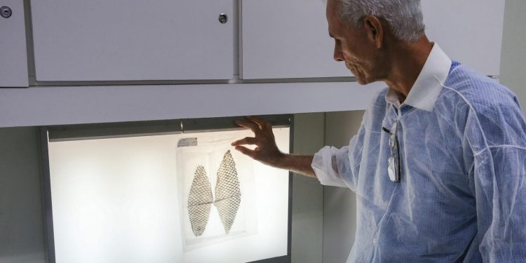 Equipe cearense leva pele de tilápia para tratamento de animais feridos em queimadas no Pantanal