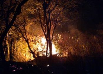 Focos de queimadas registrados em 18 dias de outubro já superam todo o mês de setembro, no Ceará