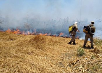 Ceará: Em apenas uma semana, outubro já tem quase 50% do número de incêndios registrados em setembro