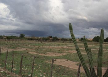 Quando chove, a terra e o mato ficam úmidos e não impedem, mas reduzem os riscos de queimadas (Foto: Honório Barbosa)
