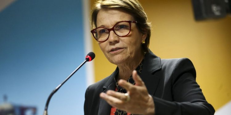 Ministra diz que se houvesse mais gado no Pantanal desastre das queimadas teria sido ‘até menor’