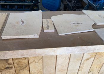 Investigação da polícia aponta extração ilegal de fósseis da região da Chapada do Araripe e comercialização com rede de empresários, pesquisadores e professor universitário (Foto: Polícia Federal/ Divulgação)