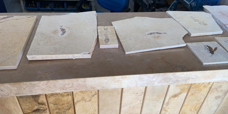 Polícia Federal deflagra operação contra tráfico de fósseis no Cariri