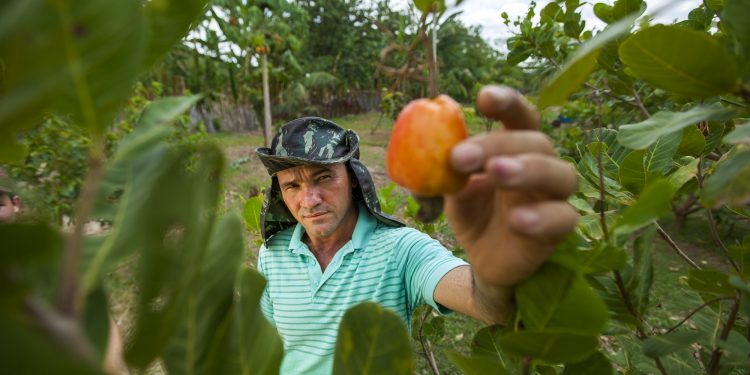 440 mil agricultores serão beneficiados com o Projeto São José IV