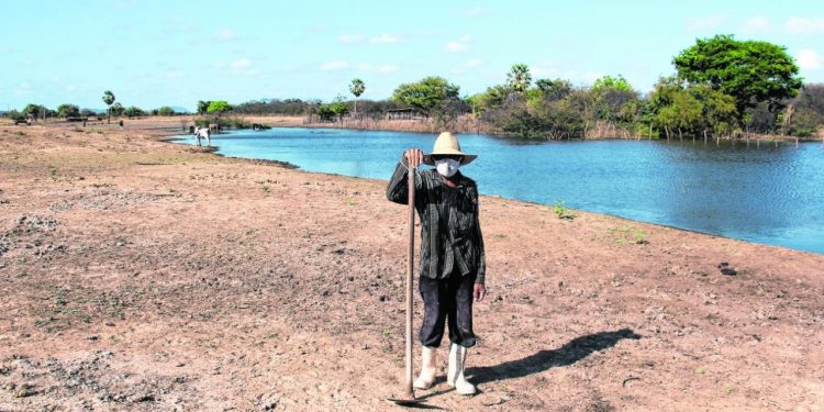 Hora de Plantar é antecipado e vai distribuir mais sementes