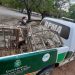 Polícia Ambiental apreende pássaros silvestres e arma em Milagres