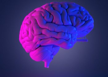 (Foto:  SebastianKaulitzki/Science Photo Library via Getty Images)