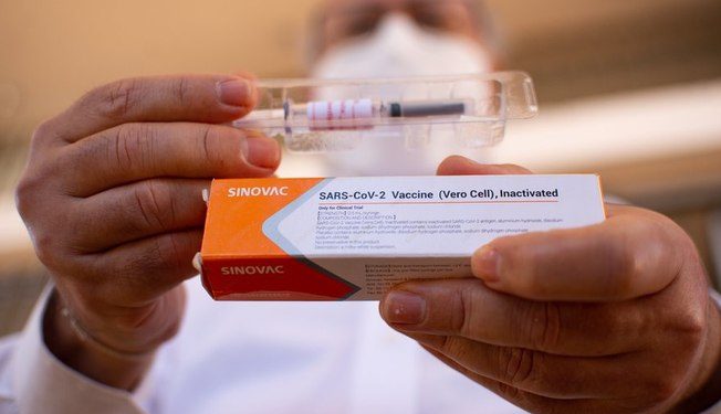 Coronavac produz anticorpos em 97% dos participantes, diz estudo