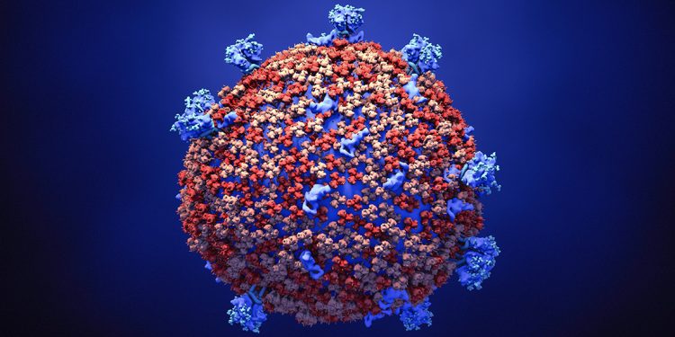 Covid-19: apesar de 10 mil novos casos, número de óbitos desacelera