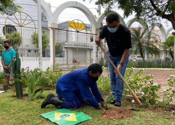 Ao lado de cada muda, foi colocada uma bandeira de cada estado nordestino. Foram plantados três pés de juá, dois de timbaúbas, um de flamboiã, ipê roxo, jambo e tamarindo