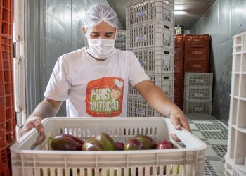 (Foto: Ariel Gomes/Governo do Ceará)
