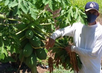 (Foto: Governo do Ceará)