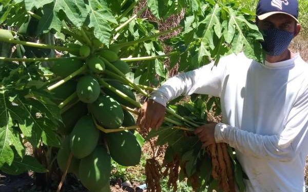 Famílias mantém produção sustentável em Lavras da Mangabeira