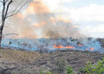 Queimadas em outubro são elevadas, mas número é 35% menor do que em igual período de 2019