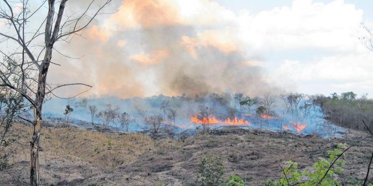 Queimadas em outubro são elevadas, mas número é 35% menor do que em igual período de 2019
