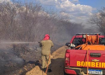 Ceará registra média superior a 41 focos de queimadas por dia, em novembro