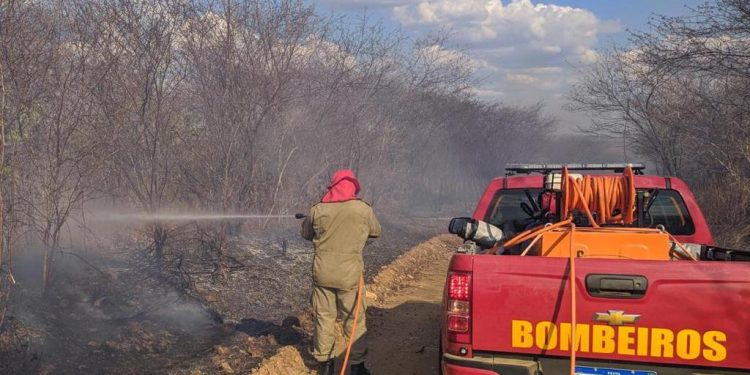 Ceará registra média superior a 41 focos de queimadas por dia, em novembro
