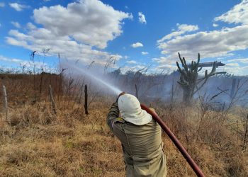 Focos de queimadas no Ceará ultrapassam 20 mil neste ano, diz Enel