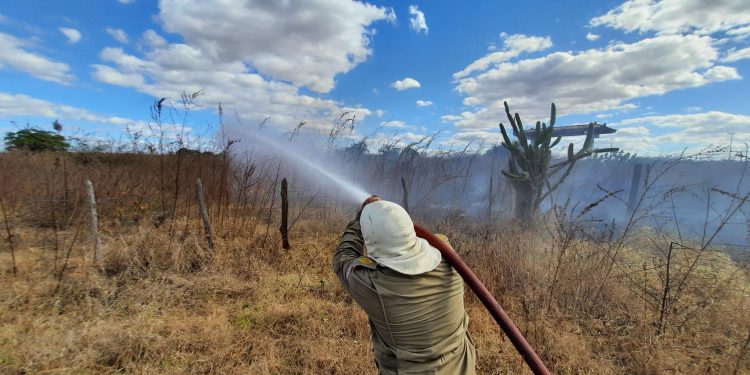 Focos de queimadas no Ceará ultrapassam 20 mil neste ano, diz Enel