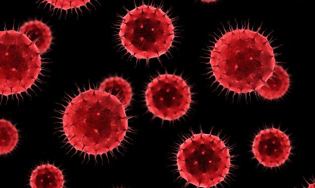 Bactérias podem trazer benefícios à saúde física e mental