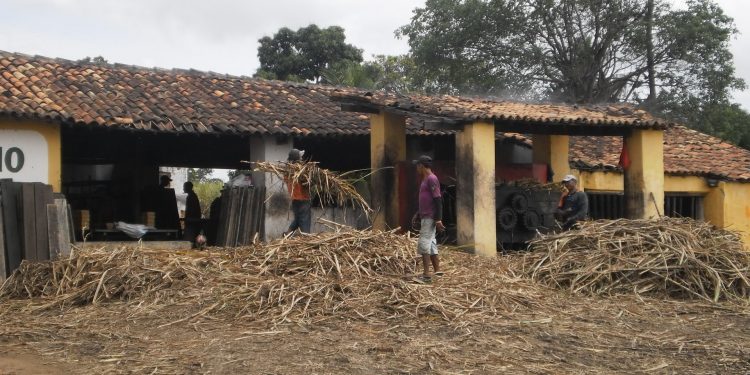 Mel – Por J. Flávio Vieira